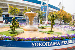 春の横浜スタジアム,春の横浜公園,横浜,公園,神奈川,花,お花,フラワー,はな,花壇,春,横浜スタジアム,スタジアム,球場,野球,ベイスボール,横浜DeNAベイスターズ,噴水,トピアリー,オリンピック,スポーツ,sports,olympic,flower,spring,park,stadium,topiary