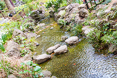 横浜公園の日本庭園,日本庭園,庭園,横浜,公園,神奈川,小川,park