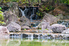 横浜公園の日本庭園,日本庭園,庭園,横浜,公園,神奈川,滝,池,park