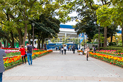 春の横浜公園,横浜,公園,神奈川,花,お花,フラワー,はな,flower,花畑,春,チューリップ,spring,park,tulip