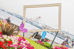 春の山下公園,山下公園,春,チューリップ,花,フラワー,spring,flower,tulip,花壇,横浜港,横浜,神奈川,ベイブリッジ,橋,モニュメント