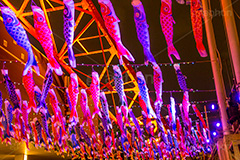 東京タワーの鯉のぼりライトアップ,こいのぼり,鯉のぼり,5月5日,端午,節句,供物,こどもの日,子供の日,こども,子供,男の子,東京タワー,とうきょうタワー,Tokyo Tower,event,kids,lightup,illumination,night,夜,夜景,ライトアップ,港区,イルミネーション,照明,色とりどり,和,文化,japan,風習,行事,なびく