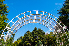 代々木公園,代々木,公園,渋谷,原宿,渋谷区,自然,草木,大きな木,樹木,憩い,park,tokyo,アーチ,青空