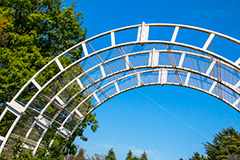 代々木公園,代々木,公園,渋谷,原宿,渋谷区,自然,草木,大きな木,樹木,憩い,park,tokyo,アーチ,青空