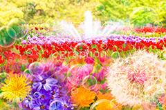 スプリングフラワー,モンタージュ,フォトモンタージュ,合成,合成写真,加工,コラージュ,フォトコラージュ,写真作品,きれい,キレイ,綺麗,カワイイ,かわいい,可愛い,爽やか,シャボン玉,しゃぼん玉,art,アート