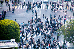 渋谷スクランブル交差点,渋谷,しぶや,ハチ公,観光,交差点,渋谷駅,駅前,スクランブル,外国人,海外,道玄坂,横断歩道,信号,雑踏,都会の雑踏,混む,混雑,人混み,人々,渡る,歩く,人物,japan,shibuya