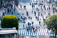 渋谷スクランブル交差点,渋谷,しぶや,ハチ公,観光,交差点,渋谷駅,駅前,スクランブル,外国人,海外,道玄坂,横断歩道,信号,雑踏,都会の雑踏,混む,混雑,人混み,人々,渡る,歩く,人物,japan,shibuya