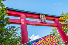 亀戸天満神の鳥居,亀戸天満神,亀戸天神,亀戸天満宮,東宰府天満宮,鳥居,神社,参拝,江東区,亀戸,天満宮,菅原道真,学問,天満大自在天神,天菩日命,japan