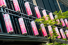 春のコレド日本橋,日本橋,NIHONBASHI SAKURA GATE,仲通り,コレド,桜提灯,灯籠,桜,さくら,イベント,フェスティバル,春,spring,festival,japan,情緒,風情
