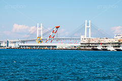 横浜港,港,横浜,よこはま,ヨコハマ,神奈川,海辺,公園,山下公園,象の鼻パーク,park,sea,横浜ベイブリッジ,橋