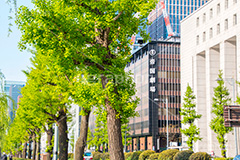 帝国劇場,千代田区,丸の内,東宝,帝劇,劇場,千代田区,有楽町,演劇