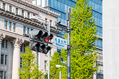 馬場先門の交差点,馬場先門,明治生命館,交差点,信号,並木,銀杏,いちょう,イチョウ,紅葉,重要文化財,千代田区,丸の内,ビル,building