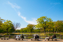 代々木公園,代々木,公園,渋谷,原宿,渋谷区,自然,草木,大きな木,樹木,憩い,park,tokyo,池,噴水