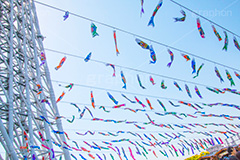 スカイツリータウンの鯉のぼり,こいのぼり,鯉のぼり,5月5日,端午,節句,こどもの日,子供の日,こども,子供,男の子,スカイツリー,スカイツリータウン,skytree,event,kids,japan,和,文化,風習,行事,634匹,埼玉県,加須市,墨田区,押上,国旗,フェスティバル,festival,tower,タワー,solamachi,なびく