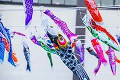 スカイツリータウンの鯉のぼり,こいのぼり,鯉のぼり,5月5日,端午,節句,こどもの日,子供の日,こども,子供,男の子,スカイツリー,スカイツリータウン,skytree,event,kids,japan,和,文化,風習,行事,634匹,埼玉県,加須市,墨田区,押上,フェスティバル,festival,tower,タワー,solamachi,なびく