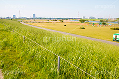 江戸川河川敷,江戸川,河川,河川敷,グラウンド,スポーツ,一級河川,歩道,散歩,ハイキング,ウォーキング,ランニング,hiking,walking,sports,running,ground,草むら,雑草,葛飾区,江戸川区