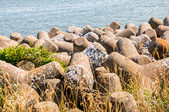 テトラポット,消波ブロック,コンクリート,ブロック,波,海,sea,block,波消しブロック,接頭辞,テトラ,護岸,水制,消波根固