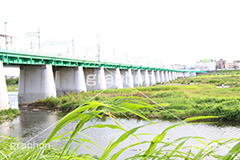 河川敷,電車,田園都市線,二子玉,二子玉川,玉川,にこたま,ニコタマ,世田谷区,川,河原,かわ,橋,河川,大井町線,大井町,電車/鉄道,多摩川,train