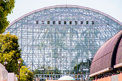 夢の島熱帯植物館,植物館,植物園,植物,熱帯,食虫植物,温室,ドーム,夢の島公園,公園,夢の島,人工島,東京湾,江東区,埋立地,埋め立て,park,dome,自然,散歩,新木場