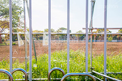 アーチェリー会場予定地,予定地,開発,建設,工事,2020,東京,オリンピック,パラリンピック,アーチェリー,会場,スポーツ,夢の島公園,公園,夢の島,人工島,東京湾,江東区,埋立地,埋め立て,park,archery,olympic,paralympics,tokyo,sports,新木場