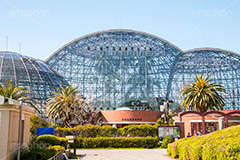 夢の島熱帯植物館,植物館,植物園,植物,熱帯,食虫植物,温室,ドーム,夢の島公園,公園,夢の島,人工島,東京湾,江東区,埋立地,埋め立て,park,dome,自然,散歩,新木場