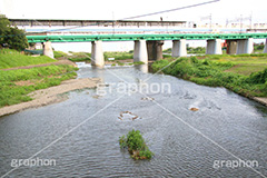 河川敷,電車,田園都市線,二子玉,二子玉川,玉川,にこたま,ニコタマ,世田谷区,川,河原,かわ,橋,河川,大井町線,大井町,電車/鉄道,多摩川,train