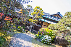 山本亭,葛飾区,柴又,木造民家,屋敷,選定歴史的建造物,昭和,大正,大正ロマン,大正浪漫,浪漫,庭,玄関,茶室,日本庭園,和,和風,japan,柴又公園