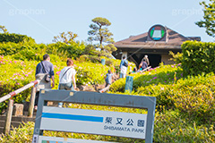 柴又公園,公園,施設,山本亭,寅さん記念館,葛飾区,柴又,観光,名所,江戸川河川敷,広場,イベント,event,park