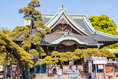 柴又帝釈天,葛飾区,柴又,日蓮宗,寺院,寺,お参り,参拝,寅さん,映画,経栄山題経寺,帝釈天,観光,japan,temple,下町,ロマン