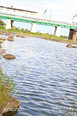 河川敷,電車,田園都市線,二子玉,二子玉川,玉川,にこたま,ニコタマ,世田谷区,川,河原,かわ,橋,河川,大井町線,大井町,電車/鉄道,多摩川,train
