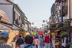 柴又帝釈天参道商店街,柴又門前商店街,商店街,露店,買い物,ソウルフード,名物,お土産,団子,だんご,草団子,柴又帝釈天,葛飾区,柴又,寺院,寺,お参り,参拝,寅さん,映画,帝釈天,観光,japan,下町,ロマン,神明会