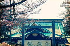 靖国神社の桜,トイカメラ撮影,トイカメラ,ヴィンテージ,ビンテージ,レトロ,お洒落,おしゃれ,オシャレ,味わい,トンネル効果