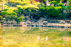 横浜公園の日本庭園,トイカメラ撮影,トイカメラ,ヴィンテージ,ビンテージ,レトロ,お洒落,おしゃれ,オシャレ,味わい,トンネル効果