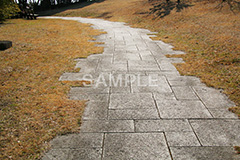 公園,こうえん,緑道,冬,並木,散歩,さんぽ,枯れ木,パーク,park