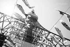 端午の節句,モノクロ,白黒,しろくろ,モノクローム,単色画,単彩画,単色