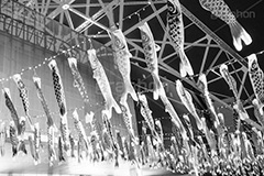 東京タワーの鯉のぼり,モノクロ,白黒,しろくろ,モノクローム,単色画,単彩画,単色