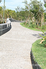 公園,こうえん,緑道,並木,散歩,さんぽ,パーク,park