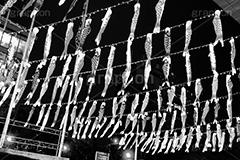 東京タワーの鯉のぼり,モノクロ,白黒,しろくろ,モノクローム,単色画,単彩画,単色