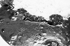 カレーライス,モノクロ,白黒,しろくろ,モノクローム,単色画,単彩画,単色
