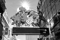 原宿,モノクロ,白黒,しろくろ,モノクローム,単色画,単彩画,単色