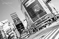 渋谷,モノクロ,白黒,しろくろ,モノクローム,単色画,単彩画,単色