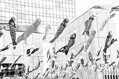 スカイツリーのこいのぼり,モノクロ,白黒,しろくろ,モノクローム,単色画,単彩画,単色