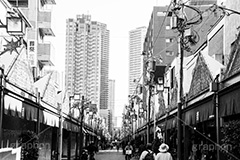 月島の風景,モノクロ,白黒,しろくろ,モノクローム,単色画,単彩画,単色