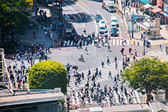 渋谷の雑踏,渋谷スクランブル交差点,渋谷,しぶや,観光,交差点,渋谷駅,駅前,スクランブル,外国人,海外,道玄坂,横断歩道,信号,雑踏,混む,雑踏,都会の雑踏,人混み,人々,渡る,歩く,人物,japan,shibuya