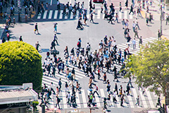 渋谷の雑踏,渋谷スクランブル交差点,渋谷,しぶや,観光,交差点,渋谷駅,駅前,スクランブル,外国人,海外,道玄坂,横断歩道,信号,雑踏,混む,雑踏,都会の雑踏,人混み,人々,渡る,歩く,人物,japan,shibuya