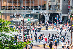 渋谷の雑踏,渋谷スクランブル交差点,渋谷,しぶや,観光,交差点,渋谷駅,駅前,スクランブル,外国人,海外,道玄坂,横断歩道,信号,雑踏,混む,雑踏,都会の雑踏,人混み,人々,渡る,歩く,japan,shibuya