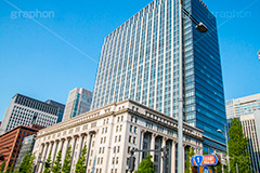 明治生命館,馬場先門の交差点,馬場先門,交差点,信号,並木,銀杏,いちょう,イチョウ,紅葉,重要文化財,千代田区,丸の内,ビル,building,日比谷通り
