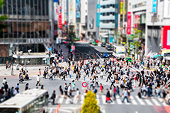 渋谷スクランブル交差点(ティルトシフト),渋谷,交差点,スクランブル,横断歩道,雑踏,都会の雑踏,混雑,人混み,人物,ティルトシフト,撮影,のような,模型風,ミニチュア風,ジオラマ風,チルトシフト,shibuya,japan