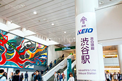 井の頭線 渋谷駅,KEIO,京王,井の頭,渋谷駅前,渋谷,しぶや,渋谷駅,駅前,マークシティ,japan,shibuya