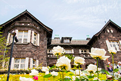 バラと洋館,バラ,薔薇,ばら,洋館,旧古河庭園,ジョサイア,ミステリー,北区,都立庭園,名所,国有財産,名勝,春,ローズ,rose,spring,tokyo,庭,庭園,西洋,洋風,西洋館,洋風庭園,洋式庭園,上中里,バラ園